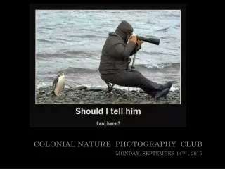 Colonial Nature  Photography  Club
