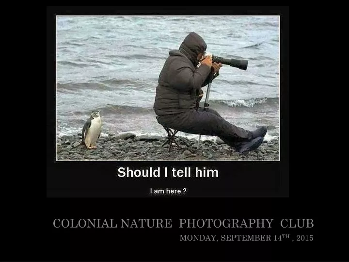 colonial nature photography club