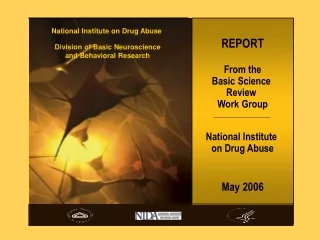 REPORT From the Basic Science  Review  Work Group National Institute  on Drug Abuse May 2006
