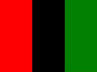 AFRO 100 Black Nationalism