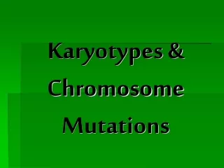 Karyotypes &amp; Chromosome Mutations