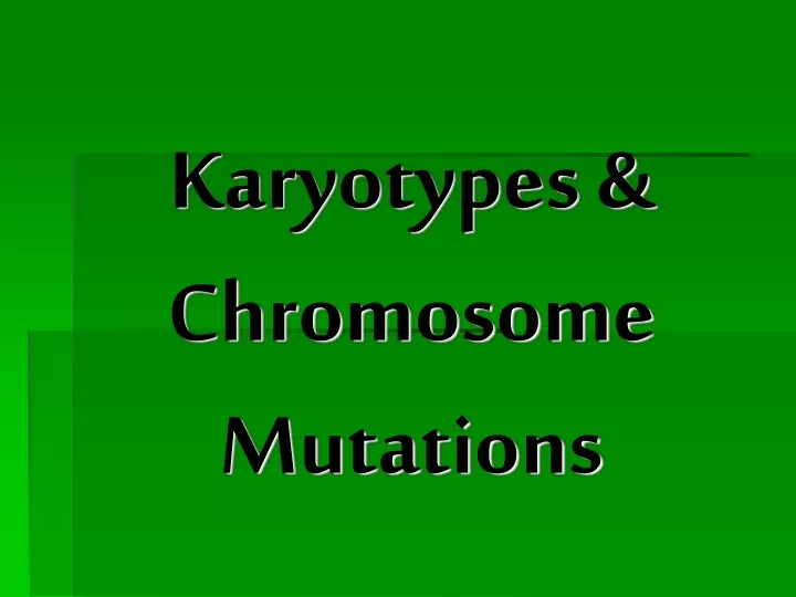 karyotypes chromosome mutations