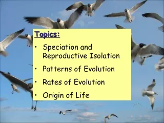 Topics: Speciation and Reproductive Isolation Patterns of Evolution Rates of Evolution