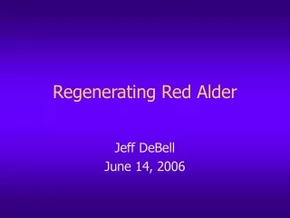 Regenerating Red Alder