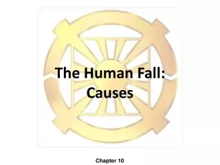 The Human Fall: Causes