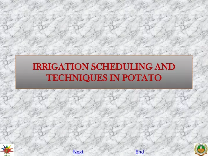 irrigation scheduling and techniques in potato