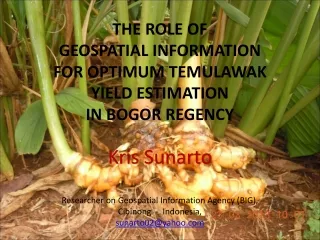 THE  ROLE OF  GEOSPATIAL  INFORMATION  FOR OPTIMUM  TEMULAWAK  YIELD  ESTIMATION  IN BOGOR REGENCY