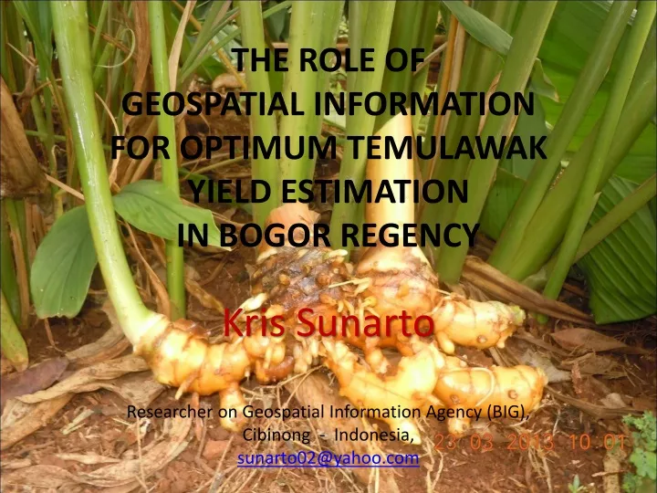 the role of geospatial information for optimum temulawak yield estimation in bogor regency