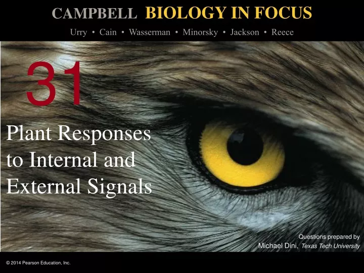 plant responses to internal and external signals