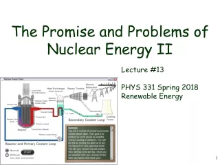 The Promise and Problems of Nuclear Energy II