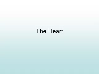 The Heart