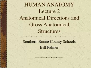 HUMAN ANATOMY Lecture 2 Anatomical Directions and Gross Anatomical Structures
