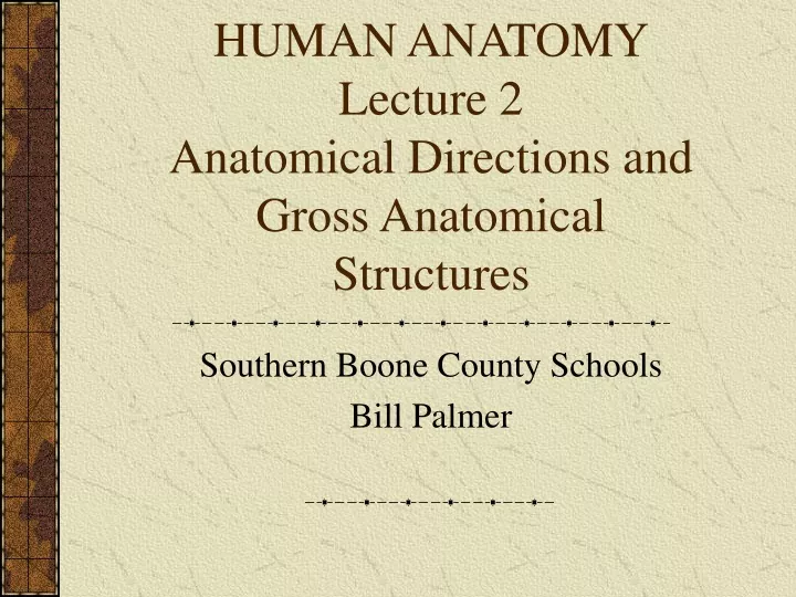 human anatomy lecture 2 anatomical directions and gross anatomical structures