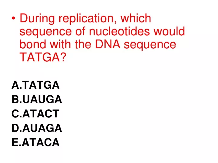during replication which sequence of nucleotides