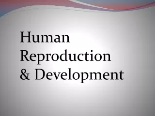 Human Reproduction &amp; Development