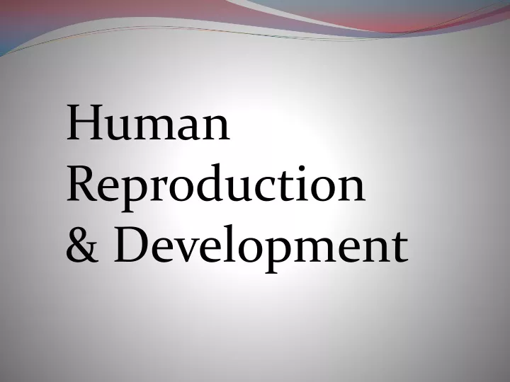 human reproduction development