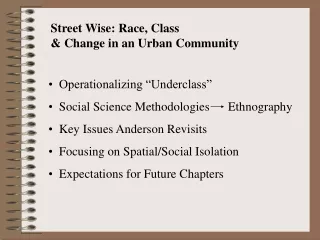 Street Wise: Race, Class  &amp; Change in an Urban Community