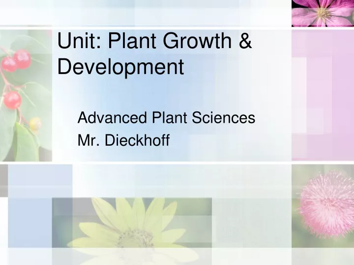 unit plant growth development