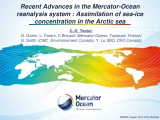 C.-E. Testut , G. Garric, L. Parent, C.Bricaud  (Mercator-Ocean, Toulouse, France)