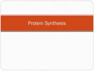 Protein Synthesis