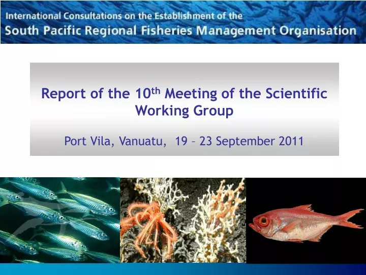 report of the 10 th meeting of the scientific