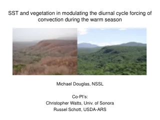 SST and vegetation in modulating the diurnal cycle forcing of convection during the warm season