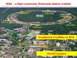 RHIC – a High Luminosity (Polarized) Hadron Collider