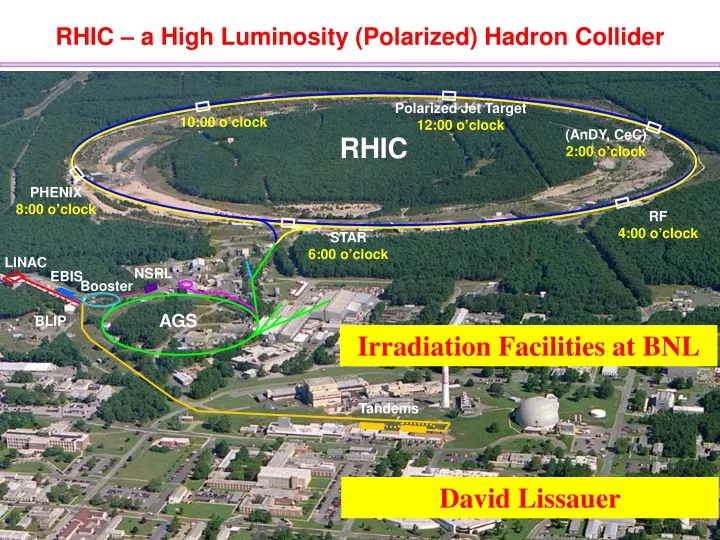 rhic a high luminosity polarized hadron collider