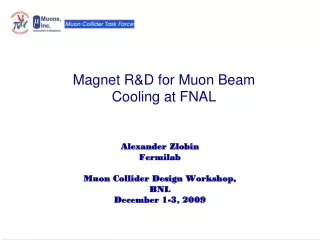 Magnet R&amp;D for Muon Beam Cooling at FNAL