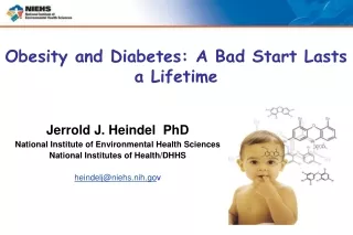 Jerrold J. Heindel  PhD National Institute of Environmental Health Sciences