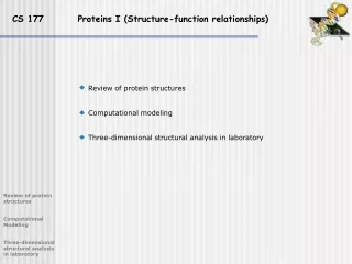 CS 177          Proteins I (Structure-function relationships)