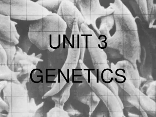 UNIT 3 GENETICS