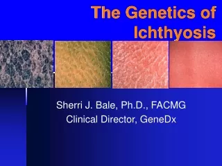 The Genetics of Ichthyosis