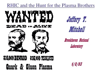 RHIC and the Hunt for the Plasma Brothers