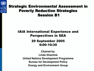 Chaired by:  Linda Ghanim é United Nations Development Programme Bureau for Development Policy