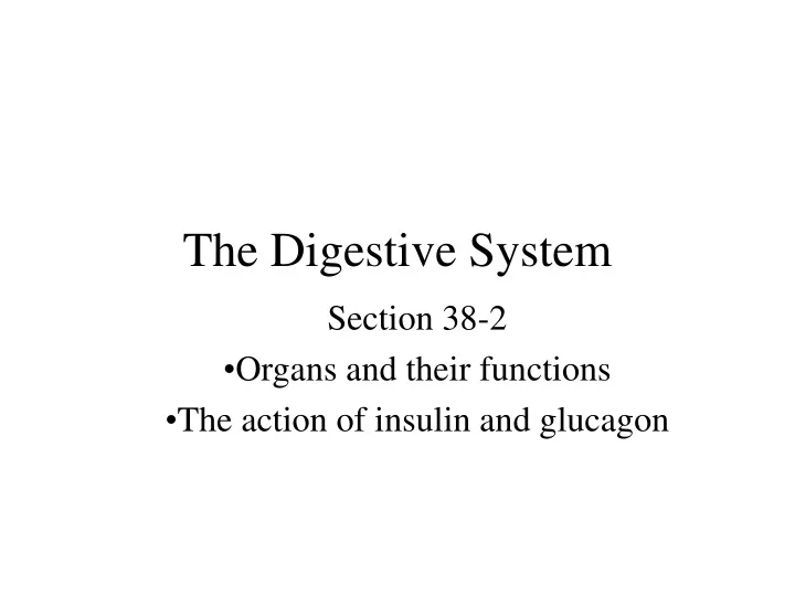 the digestive system