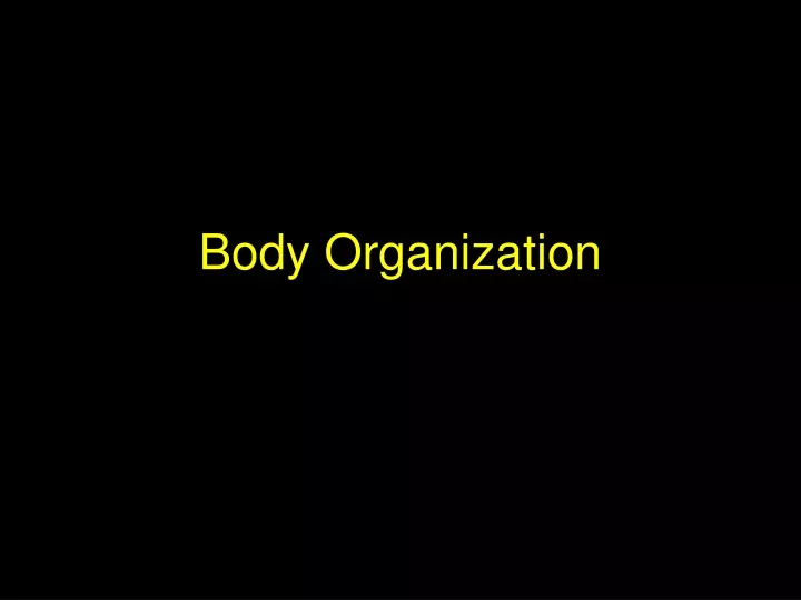 body organization