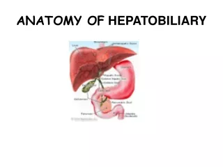 ANATOMY OF  HEPATOBILIARY