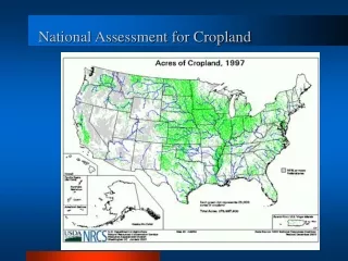 National Assessment for Cropland