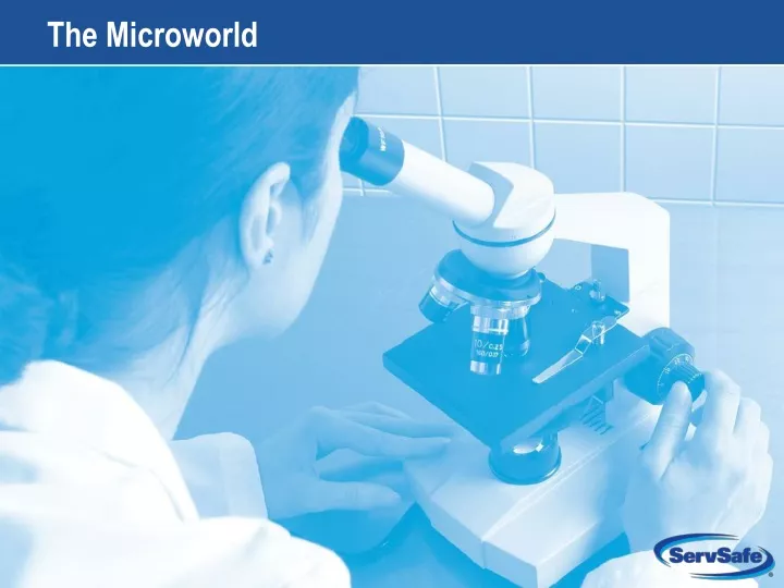 the microworld