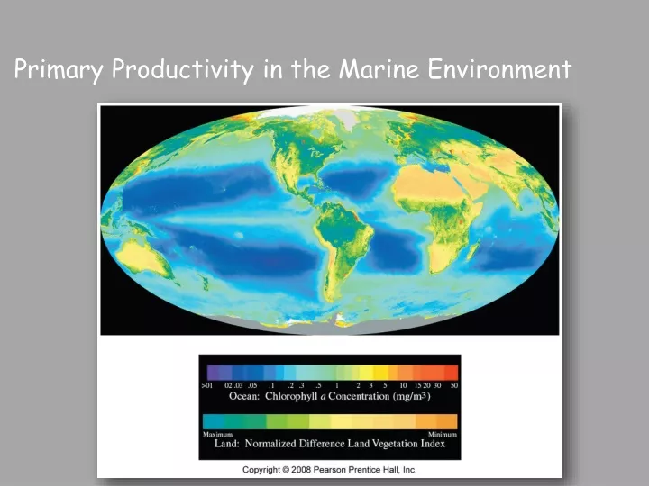 primary productivity in the marine environment