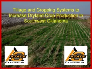 Tillage and Cropping Systems to Increase Dryland Crop Production in Southwest Oklahoma