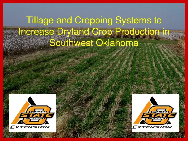 tillage and cropping systems to increase dryland crop production in southwest oklahoma