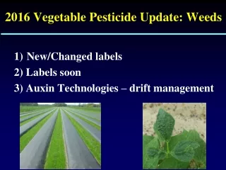 2016 Vegetable Pesticide Update: Weeds