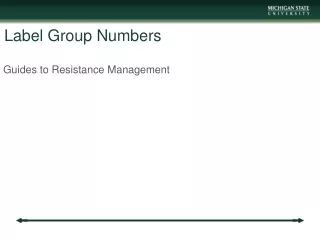 Label Group Numbers
