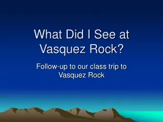 What Did I See at Vasquez Rock?