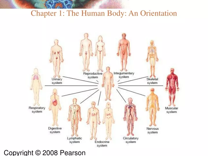 chapter 1 the human body an orientation