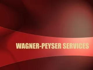 WAGNER-PEYSER SERVICES