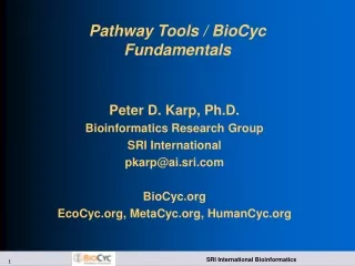 Pathway Tools / BioCyc Fundamentals