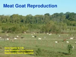 Meat Goat Reproduction